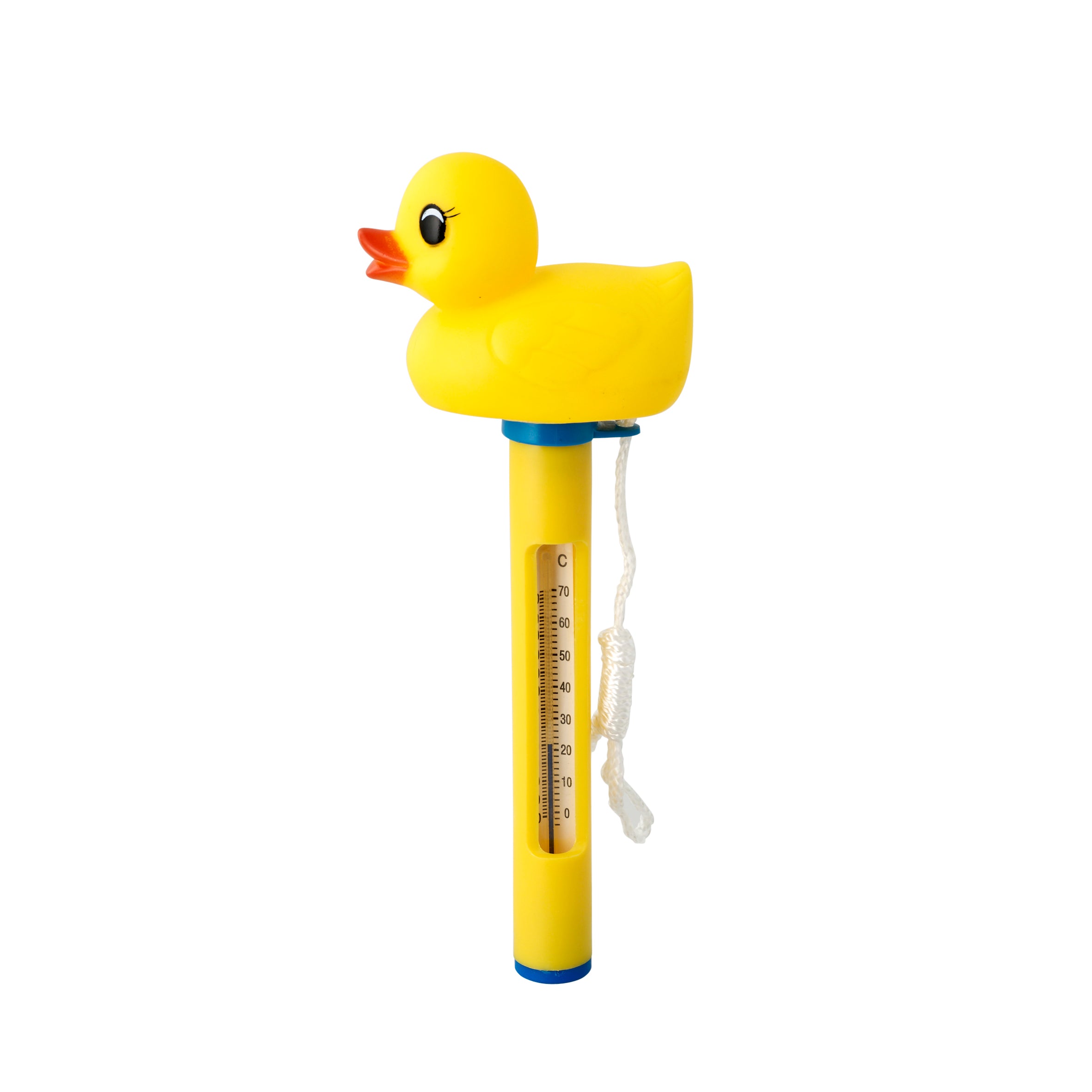 ANIMAL HEAD FLOATING THERMOMETER