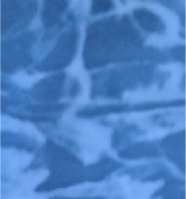 8.16 x 4.56m - Deep End Oval