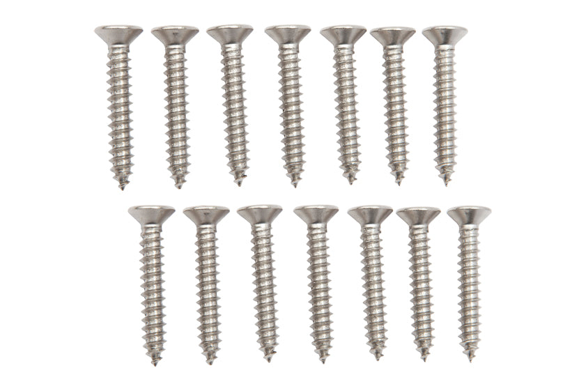 Stainless Steel Self Tapping Screw